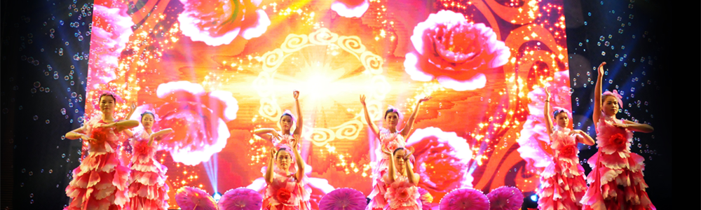 雷諾表2015年終總結(jié)暨頒獎(jiǎng)盛典